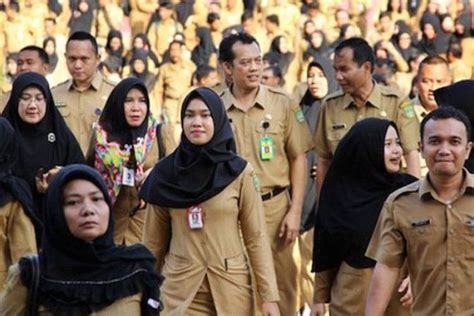 PORTALSATU Tenaga Honorer Bisa Diangkat Jadi PNS Ini Syaratnya