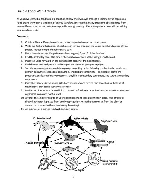 Build A Food Web Activity Answer Key Fill Online Printable Fillable