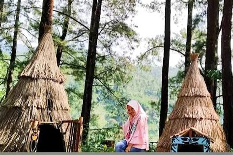 Hutan Pinus Nongko Ijo Madiun Sajikan Keindahan Alam Memukau Sekali