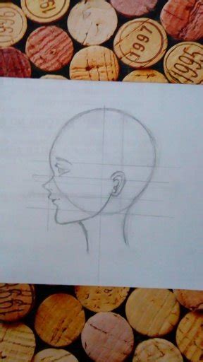 Boceto De Rostro De Perfil Anime Amino