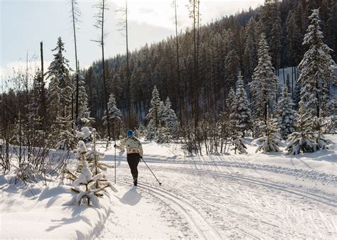 Why You Should Try Cross-Country Skiing | Zen Travellers