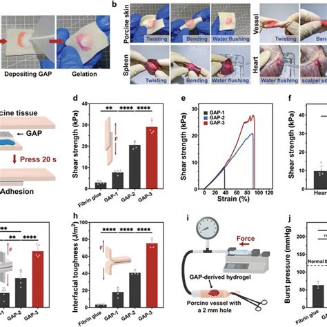 Adhesion Performance Of The Gap On Wet Biological Tissues A In Situ