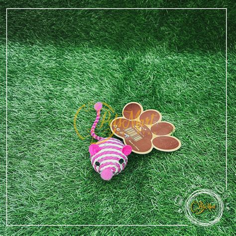 Cat Nip Mouse Toy