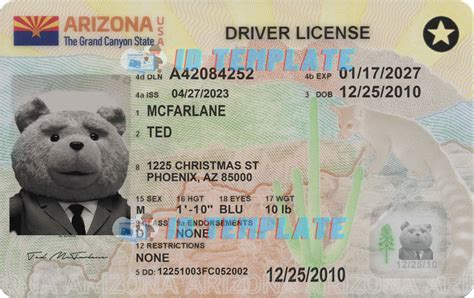 Arizona Driver License PSD Template New 1200DPI