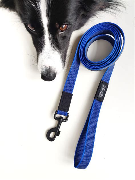 Are Slip Leads Good For Dogs That Pull