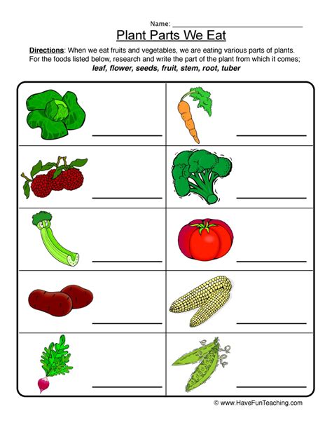 Plants Worksheets 4 - Worksheets Library