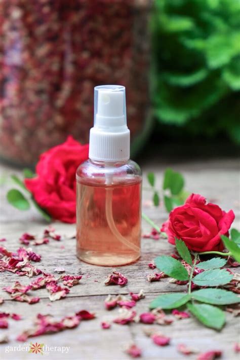 How To Make Rose Water In Minutes With Just 2 Simple Ingredients