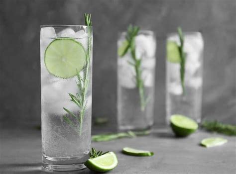 The Best Gin And Tonic Glass Cocktail Society