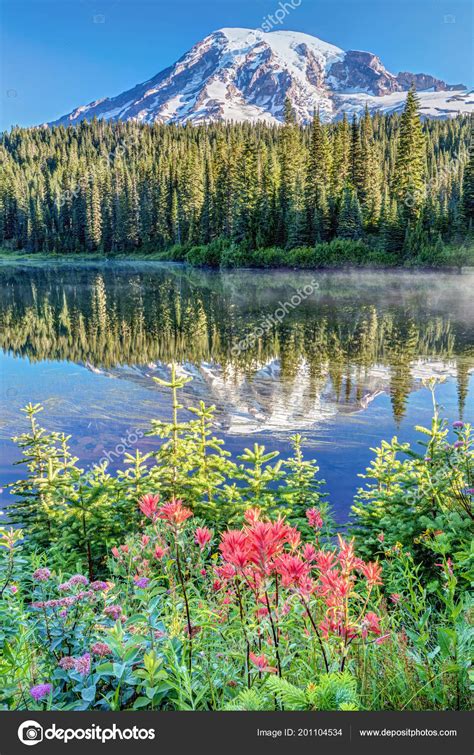 Una Vista Popolare Del Monte Rainier Lago Reflection Con Fiori Foto