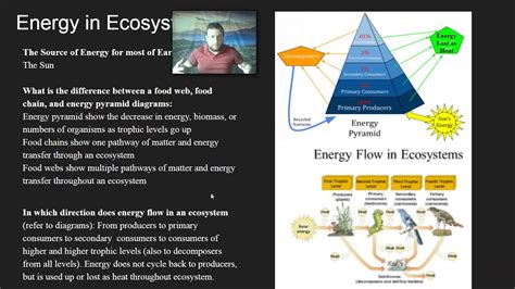 Ecosystems Matter Cycling And Energy Flow Objective 1 Matterenergy