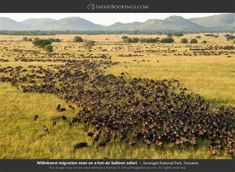 Tanzania Safari Day Great Migration Serengeti And Ngorongoro Mid Range