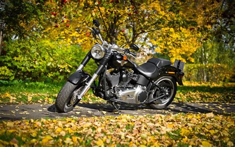Downloaden Harley Davidson Im Herbst| Wallpapers.com