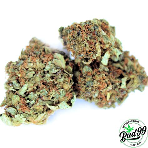 PINK KUSH (A+) - BUD99