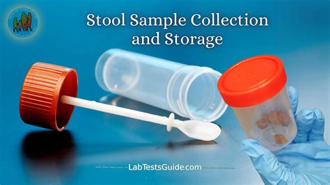 Stool Sample Collection And Storage Essential Steps For Accuracy Lab Tests Guide