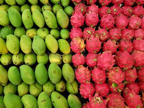 Mangoes And Dragon Fruits Stock Photo Image Of Group 110638420