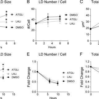 UBXD8 Mediated Recruitment Of P97 VCP To LDs Inhibits LD Turnover A