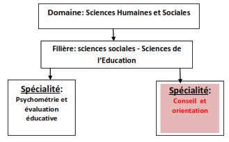 Fiche Didentit De La Sp Cialit Conseil Et Orientation Crafe