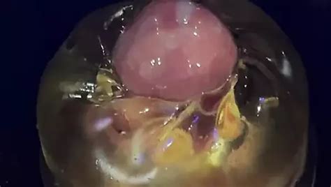 Gozando Gostoso Free Gay HD Porn Video 32 XHamster