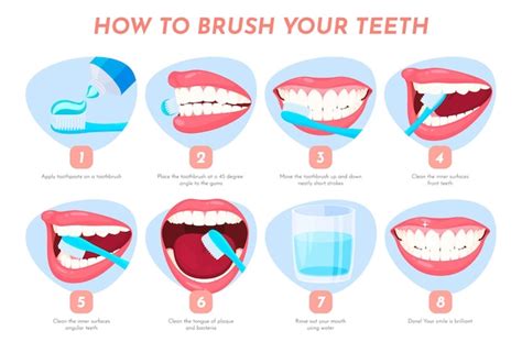 Ilustración De Cómo Cepillarse Los Dientes Instrucciones De Cuidado Dental Paso A Paso