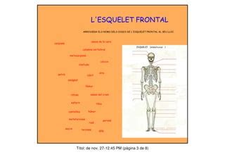 Ossos I Musculs Ppt