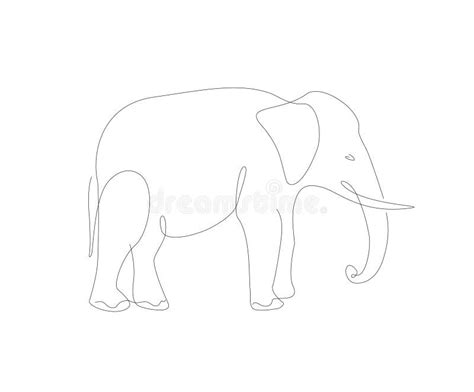 Elephant Line Art Illustration African Animals Single Line Stock