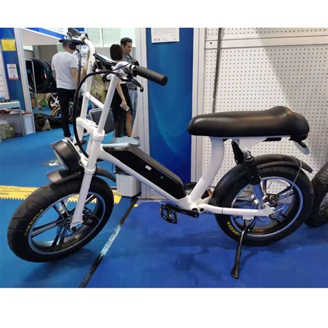 Seater Electric Bike With Foot Rest Bike Manufacturers