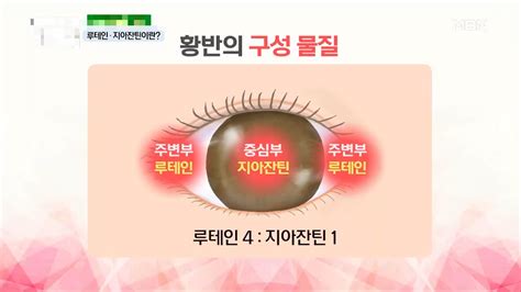 루테인 지아잔틴 풍부한 마리골드메리골드 효능 부작용눈건강 지킴이