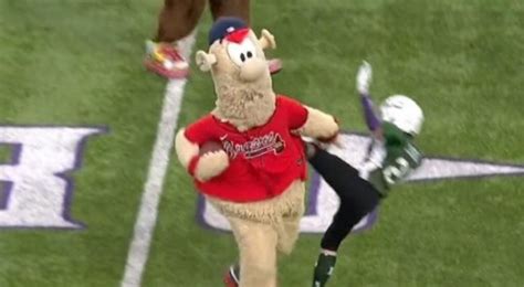 Atlanta Braves’ Mascot Destroyed Young Football Player During Halftime ...