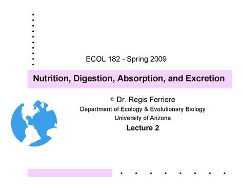 Nutrition Digestion Absorption And Excretion Lecture Slides Ecol 182r Docsity