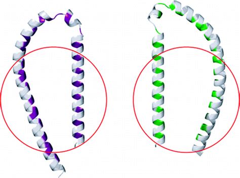 A Combinatorial Nmr And Epr Approach For Evaluating The Structural