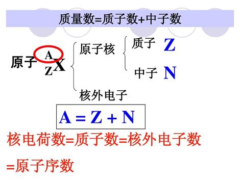 苏教版化学必修2原子核外电子的排布word文档在线阅读与下载无忧文档