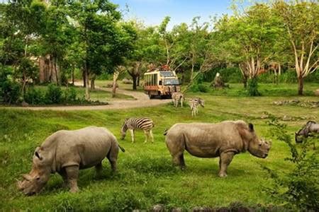 Bali Safari & Marine Park - Febris Bali Tour