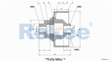 Lmz Ii Mll Ii Flexible Plum Jaw Coupling Rokee