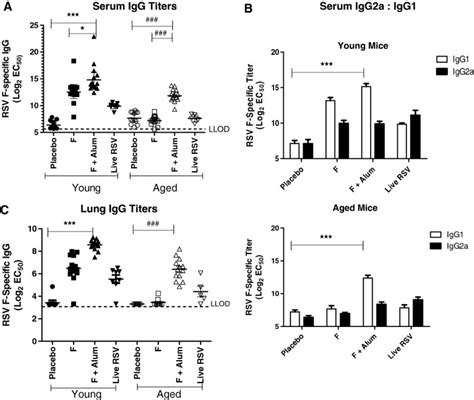 An Adjuvanted Respiratory Syncytial Virus Fusion Protein Induces