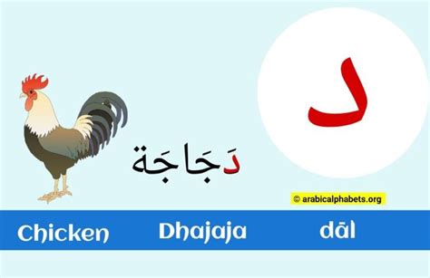 Dal In The Arabic Letter: (د) Read & Write with Illustrations