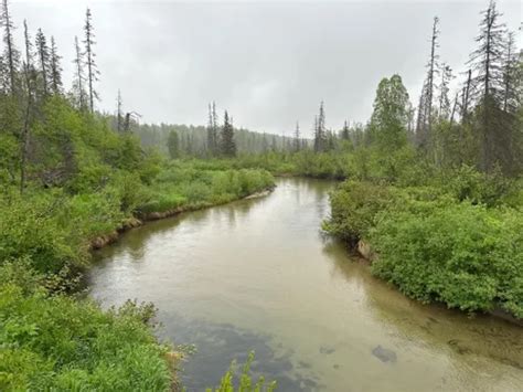 10 Best Hikes and Trails in Denali State Park | AllTrails