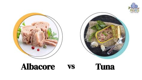 Albacore Vs Tuna Uncovering Key Differences You Need To Know