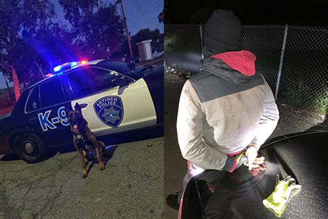 Antioch Police With Help Of K9 Arrest Man With Knife For Attempted