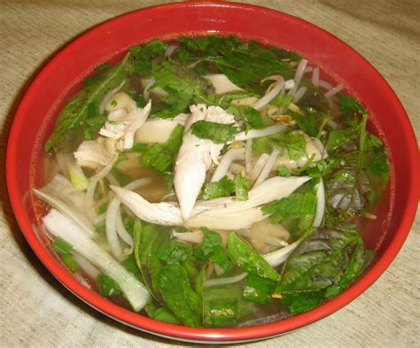 Việt Mỹ Life - Vietnamese-American Life: Pho Ga made easy (Chicken Pho noodle soup recipe with ...