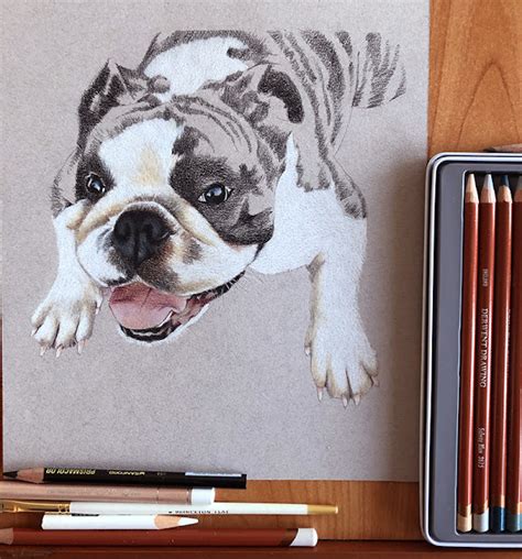 KJF DESIGN Fine Art: Colored Pencil Dog Portrait Commission