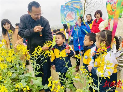 会同县第二幼儿园：油菜花海“长”知识 教育资讯 新湖南