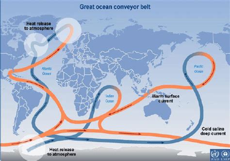 Thermohaline Circulation Diagram