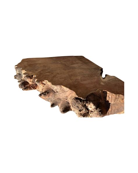 Claro Walnut Burl Slab Etsy