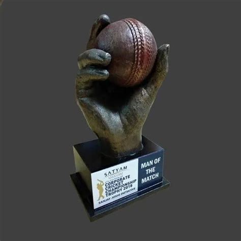 FRP 3D Man Of The Match Cricket Trophy at Rs 1000/piece in Pune | ID ...