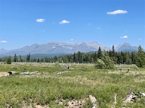 Glacier National Park Going To The Sun Road And Polebridge Bonney Voyage