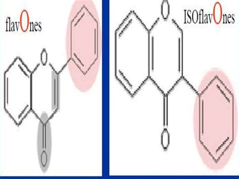 Phenolic compounds