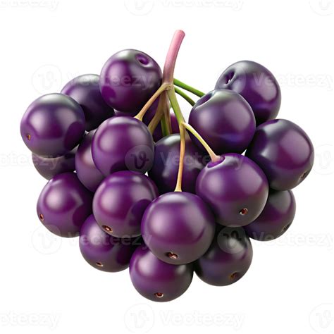 render  dark purple berries  png