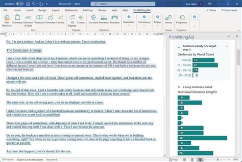 ProWritingAid Review Is It The Best Online Editor