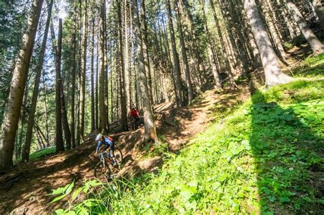 Electric Line Fassa Bike Park