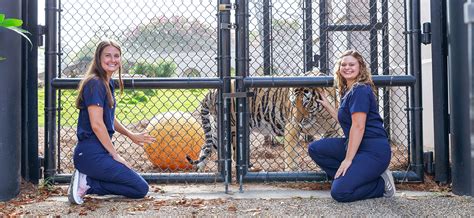 Meet the LSU students who take care of Mike the Tiger